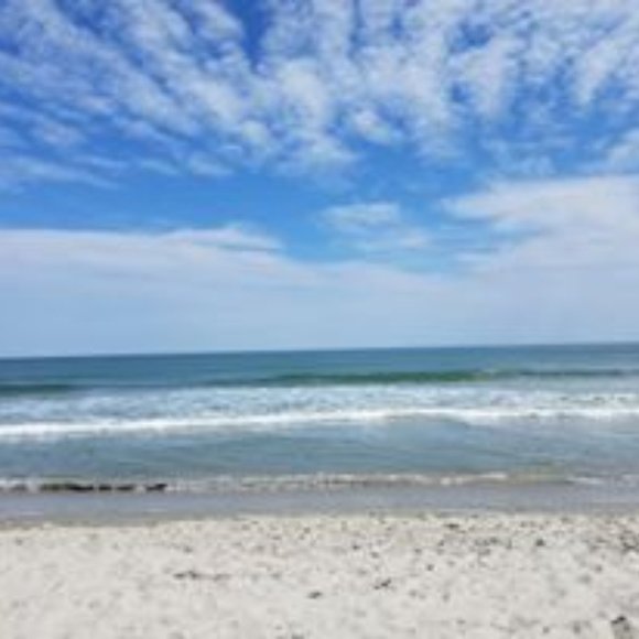 Meet your Posh Ambassador, Shelly - Picture 1 of 2